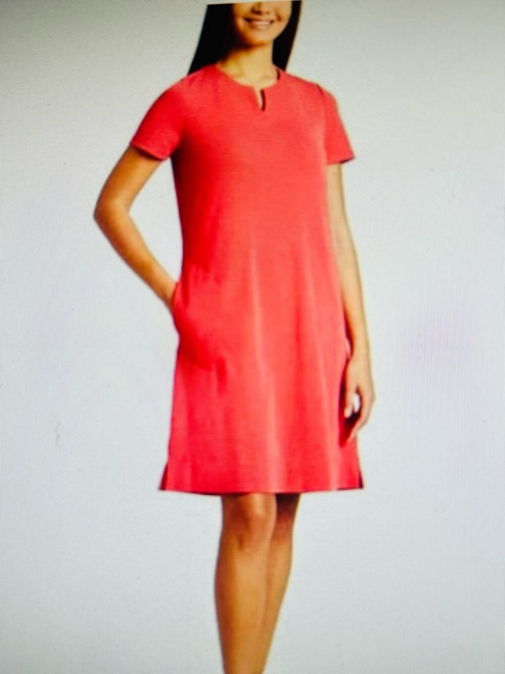 Ellen Tracy Red Robin Jersey Knit  Dress with Short Sleeves. Size M. NWTGS
